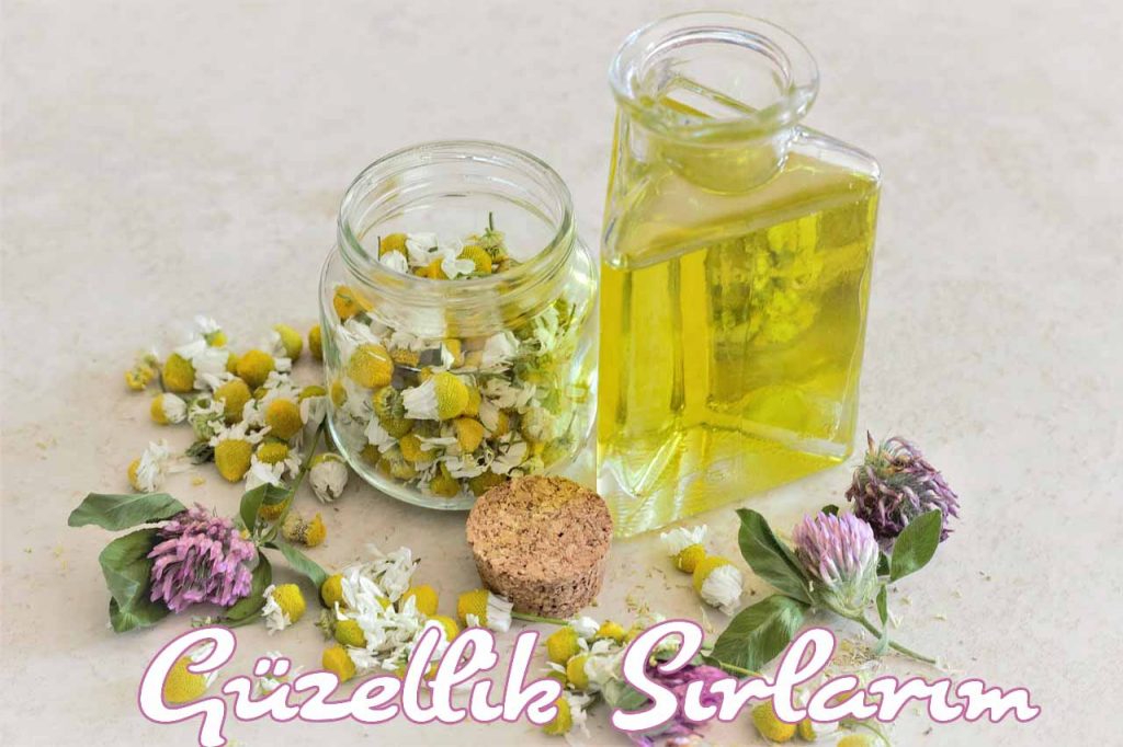 Papatya Yağı Nedir Nasıl Kullanılır