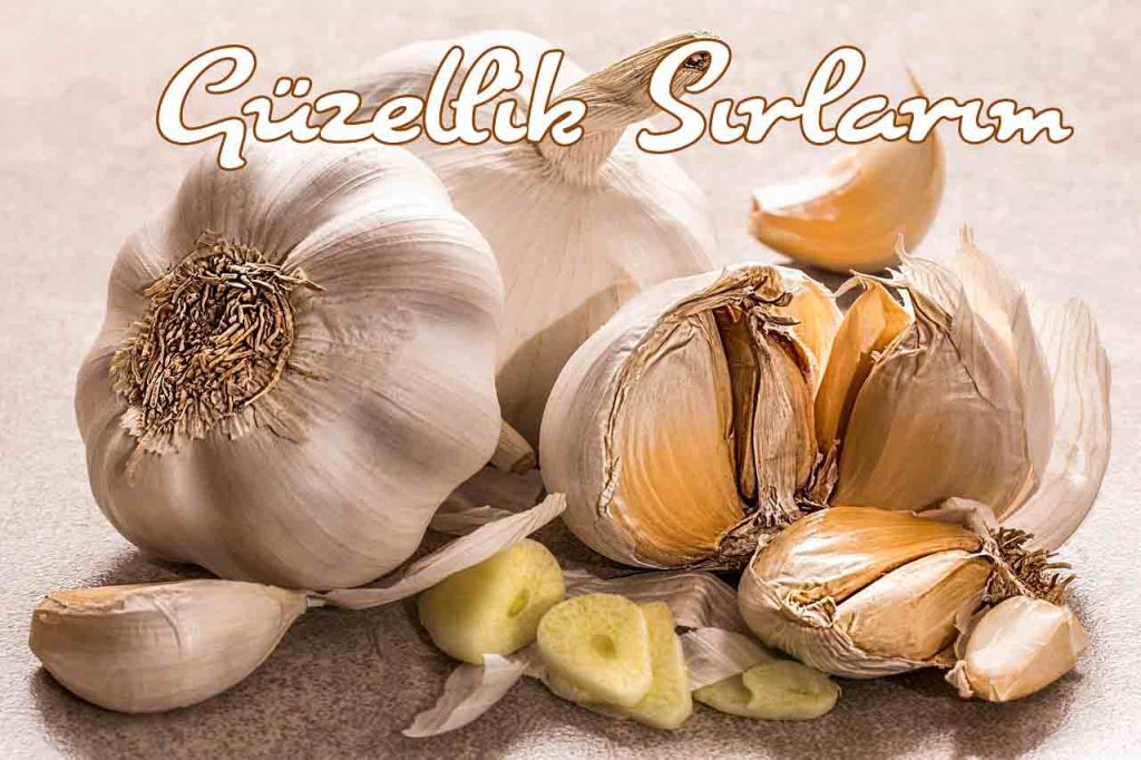Sarımsak İle Karın Yağlarını Eritme Kürü