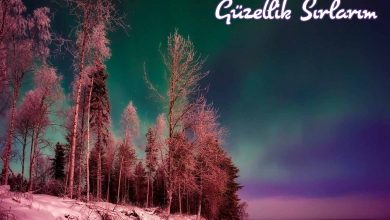 Photo of Finlandiya’da Görmeniz Gereken Yerler