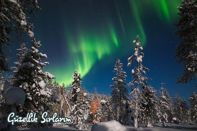 Finlandiya’da Görmeniz Gereken Yerler Rovaniemi