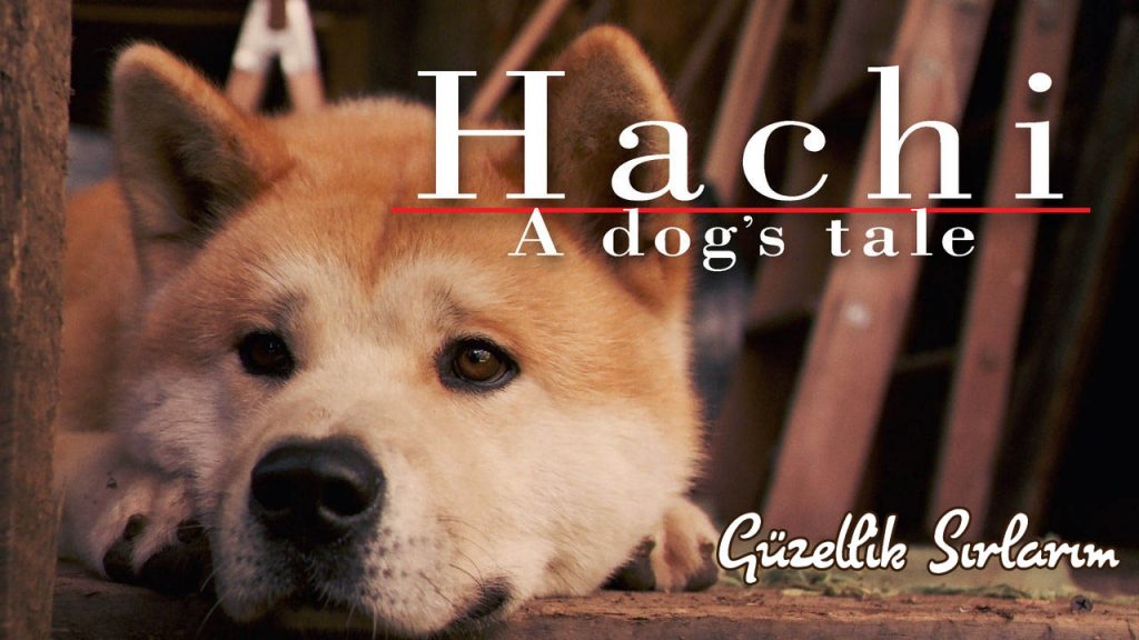 Hachi A Dog’s Tale