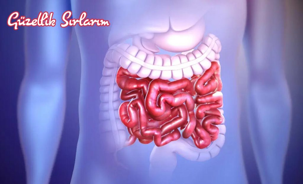 Histamin İtoleransı İçin;