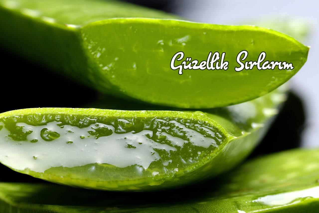 Çatlak tedavisinde bitkisel uygulamalar Aloe Vera