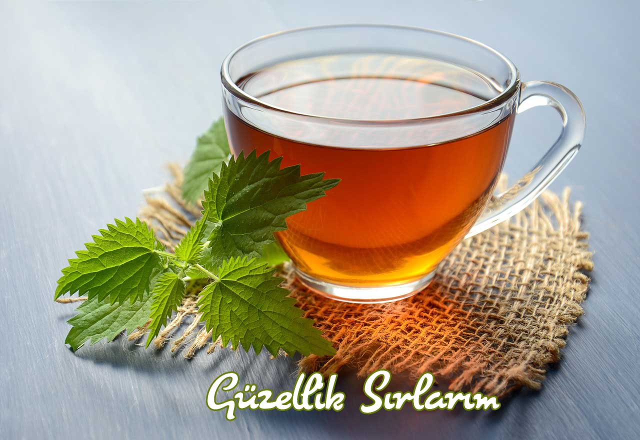 Isırgan Otu Çayı