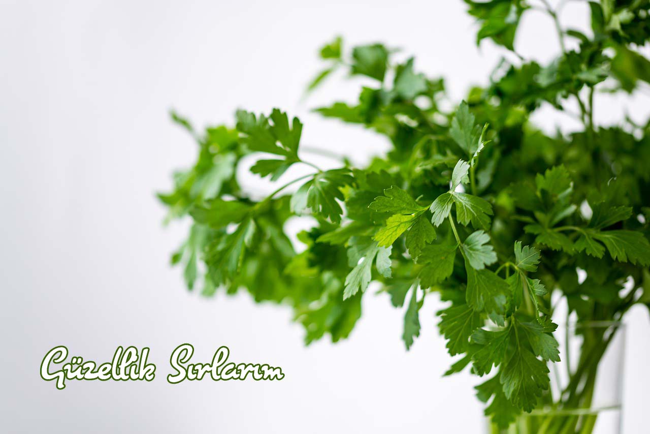 Maydonozlu Detox Suyu