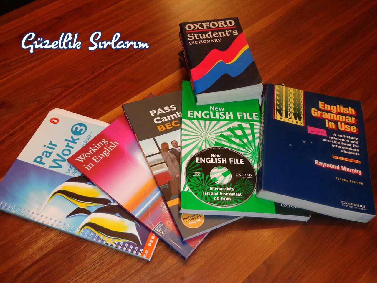 Sözlük programı indirmek
