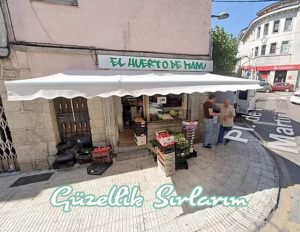 Gioacchino Google Yakalattı