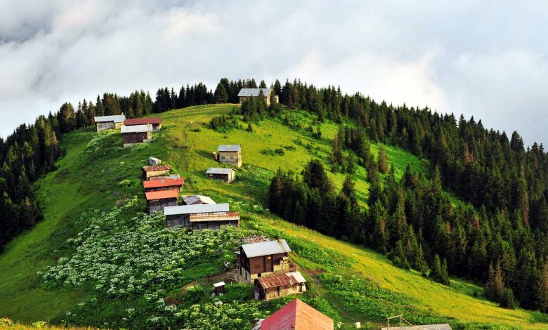 Photo of Artvin’de Gezilecek Yerler