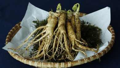 Photo of Ginseng Nedir? Faydaları Nelerdir?