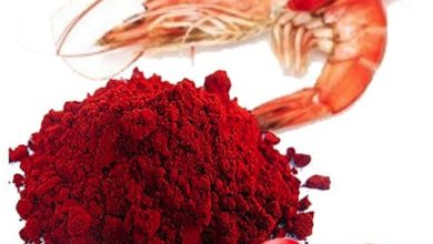 Photo of Astaksantin Nedir? Nerelerde Kullanılır?
