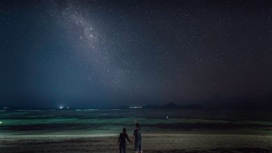 Photo of Gözlem Yapmanın Hayatımızdaki Etkileri
