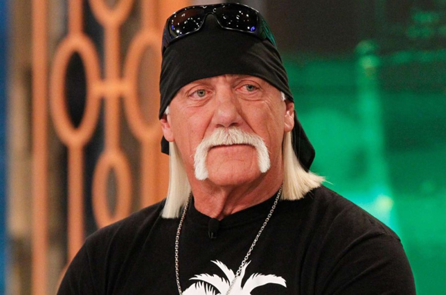 Hulk Hogan'ın İtibarı ve Gelecek Projeleri
