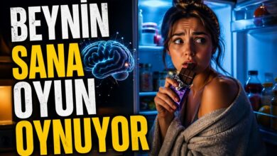 Photo of Duygusal Açlık mı Gerçek Açlık mı? Test Edin